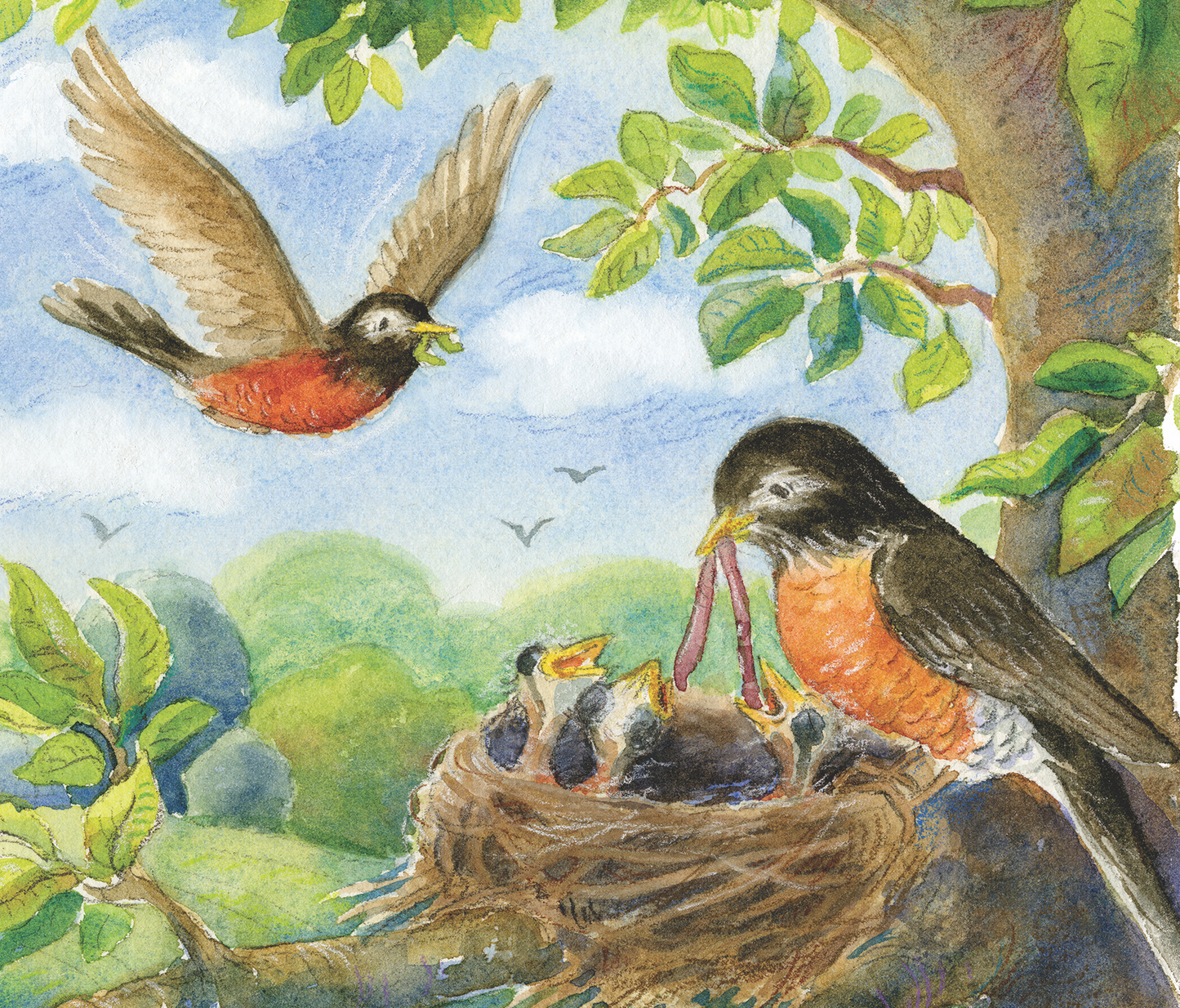 "Robins" Original Watercolor Illustration from The King of All Things for Children's Room