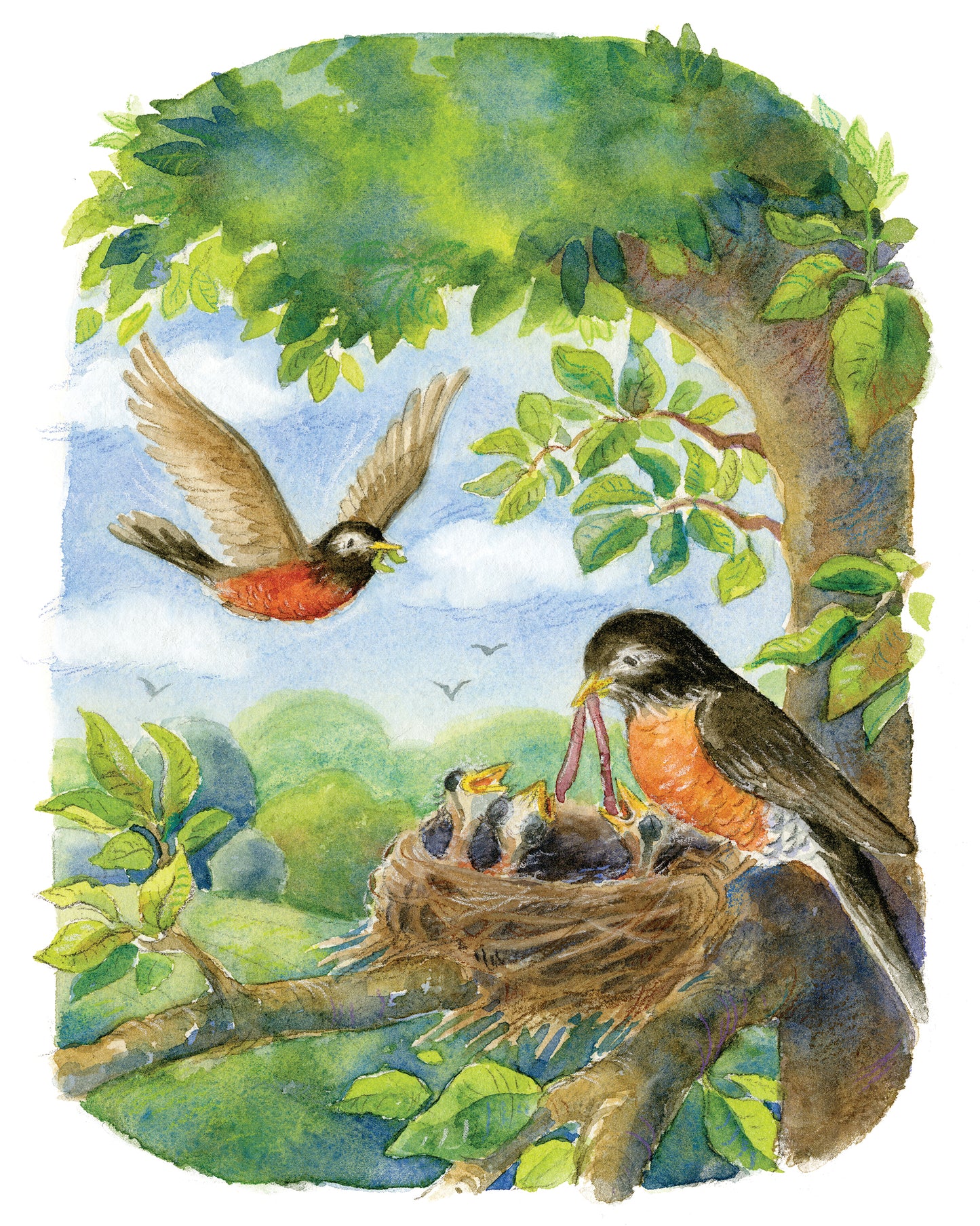 "Robins" Original Watercolor Illustration from The King of All Things for Children's Room